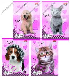  Állatos - My Little Friend Szürke cica A4 kockás füzet, margóval (PI_2018_UNMLF432_8)