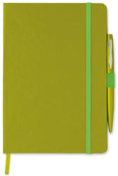 Everestus Agenda A5 cu pagini dictando, coperta cu elastic, Everestus, AG10, hartie, verde, lupa de citit inclusa (EVE01-MO8108-48)