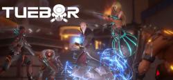 Strength in Numbers Studios Tuebor I Will Defend (PC)