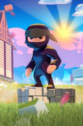 phime studio Mad Dojo (PC)