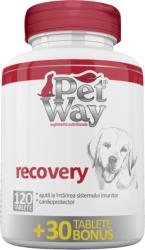 petway Recovery 120 tablete