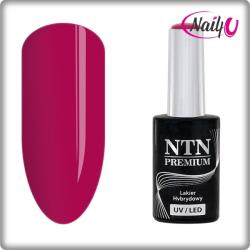 NTN Premium UV/LED 114#