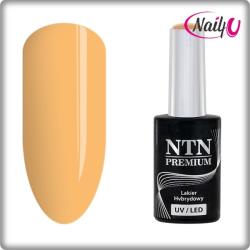 NTN Premium UV/LED 110# (kifutó szín)
