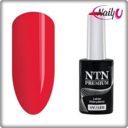 NTN Premium UV/LED 115#