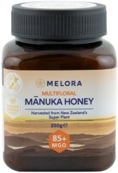 New Zealand Manuka Group Miere de Manuka poliflora MELORA, MGO 85+ Noua Zeelanda, 250 g, naturala