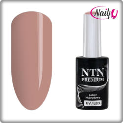 NTN Premium UV/LED 119# (kifutó szín)