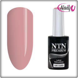 NTN Premium UV/LED 106#