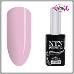 NTN Premium UV/LED 93#