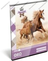  Lovas/Horse - Kiscsikós A4 kockás füzet (LI_2018_066)