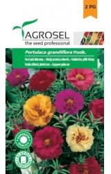 Agrosel Seminte Flori de piatra, dublu melanj (0.6gr), Agrosel, 2PG