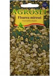 Agrosel Seminte flori Floarea miresei (1gr) Agrosel, 2PG