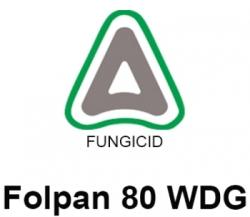 Adama Fungicid Folpan 80 WDG (5 kg), Adama