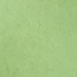 Tarkett Linoleum Natural Tarkett 2.50mm Veneto mar verde 754 (TKT-14872754)