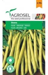 Agrosel Seminte fasole oloaga Ileana(250 gr), Agrosel