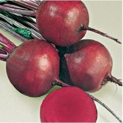 Agrosel Seminte sfecla rosie Detroit 2(250 gr), Agrosel