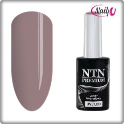 NTN Premium UV/LED 133# (kifutó szín)