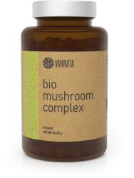 VanaVita Complex Extract de ciuperci BIO Mushroom Complex 90 caps