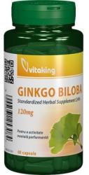 Vitaking Ginkgo Biloba Forte 120 mg cu absorbtie indelungata, 60 cps, Vitaking
