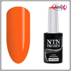 NTN Premium UV/LED 142#