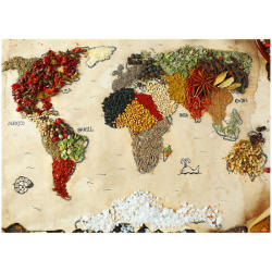 AA Design Fototapet bucatarie cu harta lumii din condimente (FTM-0873)