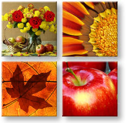  Falfestés COLLAGE 4 részes XOBKOL07E42