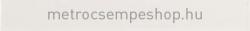5x40 Equipe Evolution fehér MATT csempe