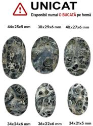  Cabochon Riolit Star Galaxy Forma de Ovala - 34-44 x 21-29 x 5-6 mm