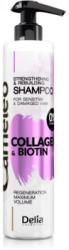 Delia Cosmetics Cameleo Collagen & Biotin erősítő sampon a sérült, töredezett hajra 250 ml