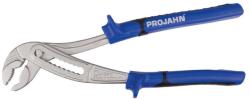 PROJAHN Cleste de teava reglabil PROJAHN 250 mm Cleste