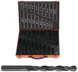 PROJAHN Set burghie metal elicoidale PROJAHN, HSS-R DIN 338 Typ N ECO, 1-10mm, 170 buc/set Burghiu