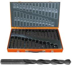 PROJAHN Set burghie metal elicoidale PROJAHN, HSS-R DIN 338 Typ N ECO, 1-10mm, 220 buc/set Burghiu