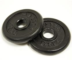 MASTER SPORT Дискове MASTER 2x1, 25кг, стоманени