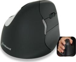 BakkerElkhuizen VerticalMouse (BNEEVR4BB) Mouse