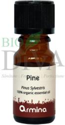 Armina Ulei esențial de pin Pinus Sylvestris Armina 10-ml