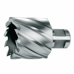 Makita 30 x 30 mm carota cu prindere weldon (30S)