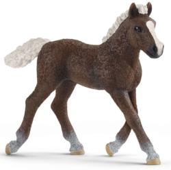Schleich Figurina Schleich Farm World Horses - Calut Black Forest cu coama alba (13899-03958) Figurina