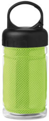 Everestus Prosop racoritor in sticla cu maner, poliester, Everestus, SPF013, verde (EVE01-MO9203-48) Prosop