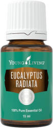 Young Living Ulei esential Eucalipt Radiata (Ulei esential Eucalyptus Radiata) 15 ML