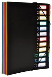 Viquel Irattartó mappa, gumis, 12 részes, VIQUEL Rainbow Class, fekete (IV118967) (118967-05)