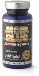 Goldfield MSM Plus 60 caps