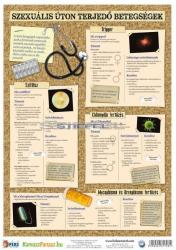 Stiefel Nemi betegségek 2. -3. (vírusok / bakteriális fertőzések) tanulói munkalap (275117)