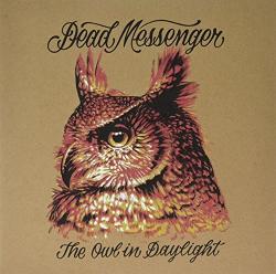 Dead Messengers Owl In Daylight