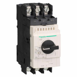 Schneider Electric Schneider GV3P656 Motorvédő kapcsoló 65 A sarus sorkapocs (GV3P656)