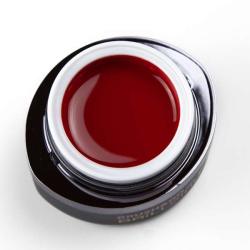 BRILLBIRD Brush&Go színes zselé - GO 121 - 4, 5ml