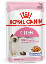 Royal Canin KITTEN JELLY - kölyök macska zselés nedves táp (12*85g) - tenyesztoitap