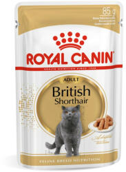 Royal Canin BRITISH SHORTHAIR ADULT - Brit rövidszörű felnőtt macska nedves táp (12*85g)