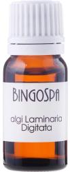 BINGOSPA Alge marine Laminaria - BingoSpa 10 ml