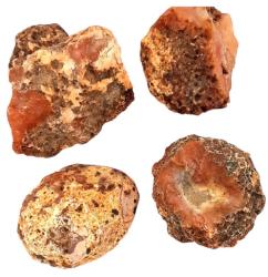  Carneol Natrural Brut - 31-49 x 25-42 mm - ( XL ) - 1 Buc