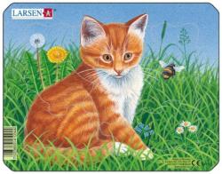 Larsen Puzzle Larsen - Cats, 6 piese (48517) (Larsen-M13-1) Puzzle