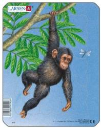 Larsen Puzzle Larsen - Monkey, 9 piese (48514) (Larsen-M9-2)